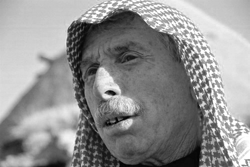 Portret 15