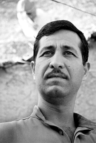 Portret 17
