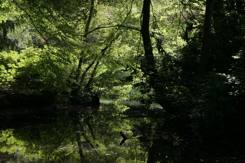 1000 tinten groen (2)