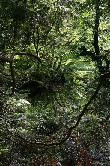 1000 tinten groen (1)