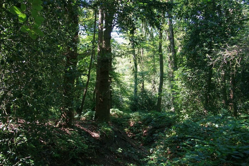 1000 tinten groen (3)