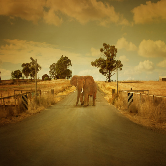 africa