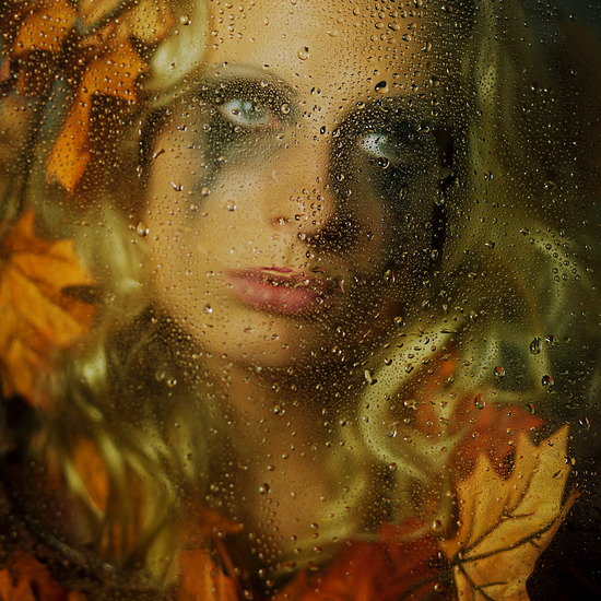 autumn dreams