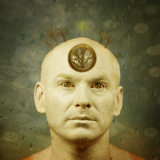 Struggle brains