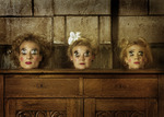 from the serie dolls