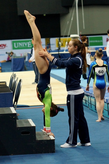 Fantastic Gymnastics