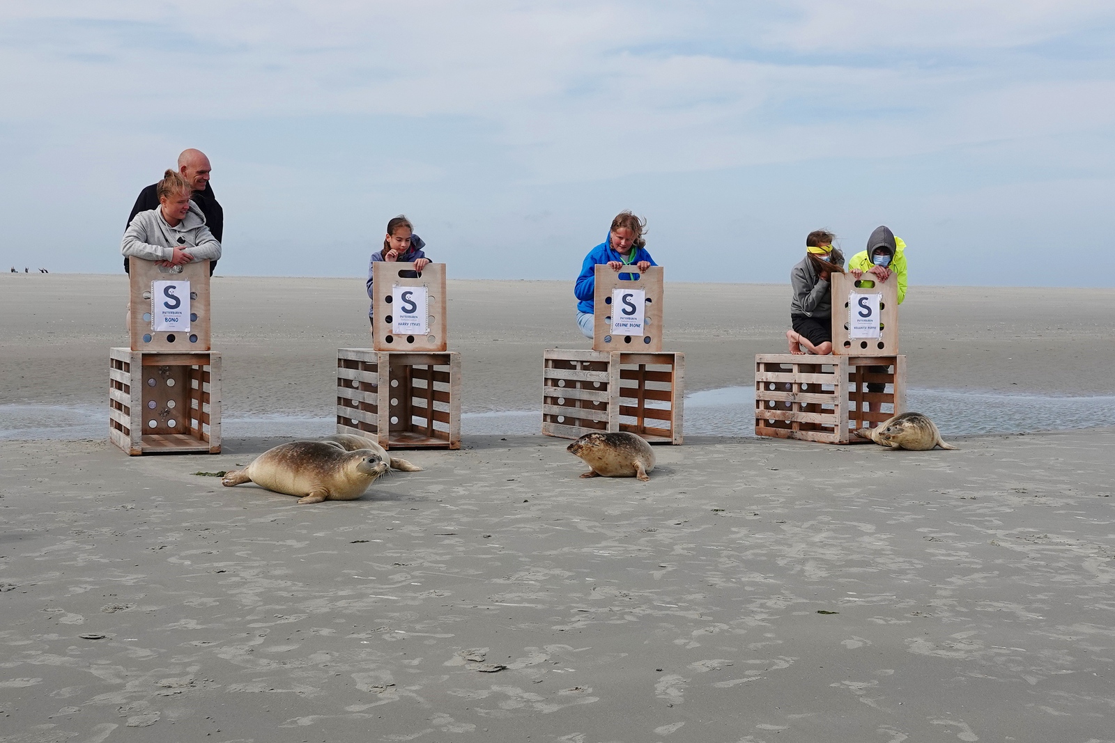 Zeehonden los laten met kanjerwerk