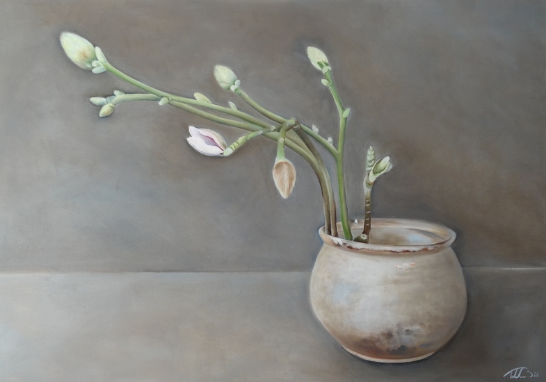 Oude pot met Magnolia