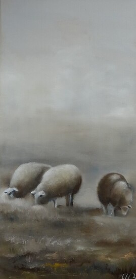 schapen in de mist 