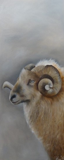 Ram 