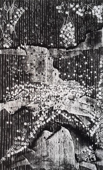 Waterval