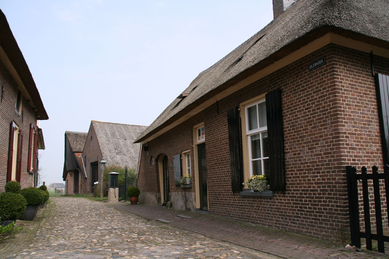 Bronkhorst