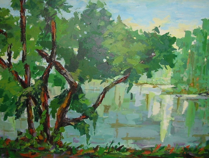 Landschap/Suriname03