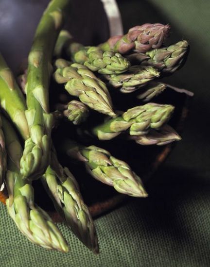 Asperges