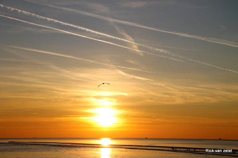 Noordwijk aan zee