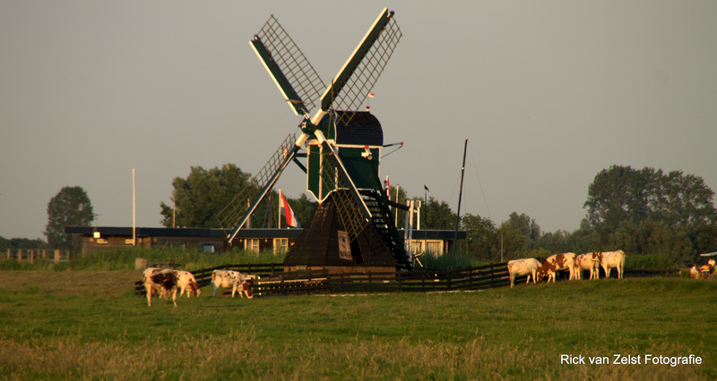 windmolen