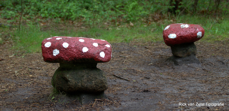 paddenstoelen