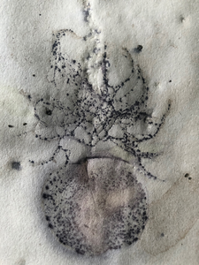 Ecoprint op stof en papier