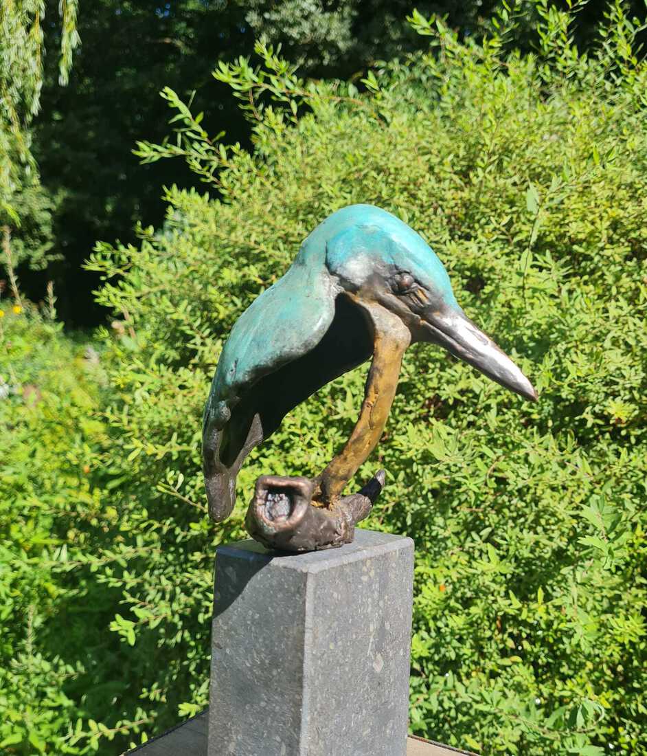 IJsvogel XV (d.K.)