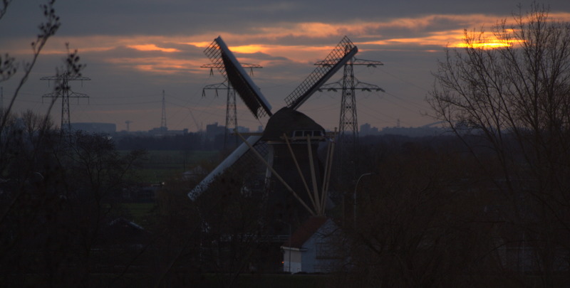 molen
