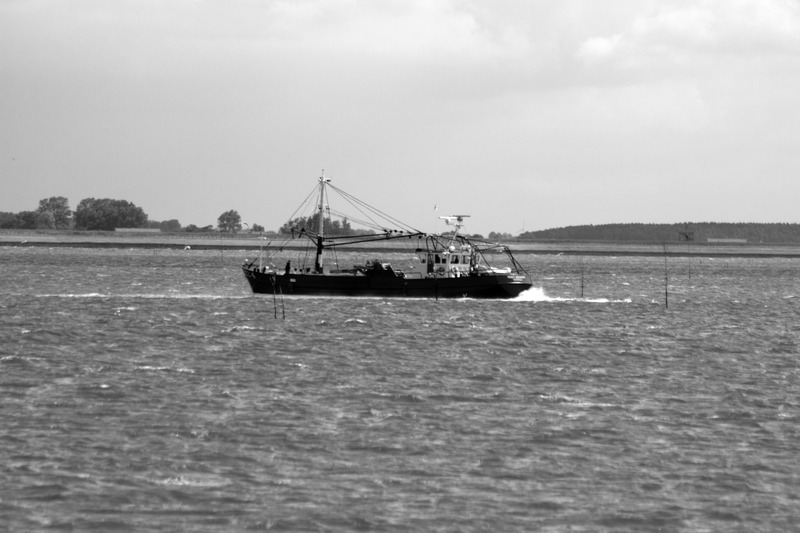 Vissersboot
