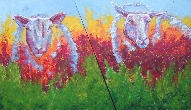 Windnomad: obstinate sheep