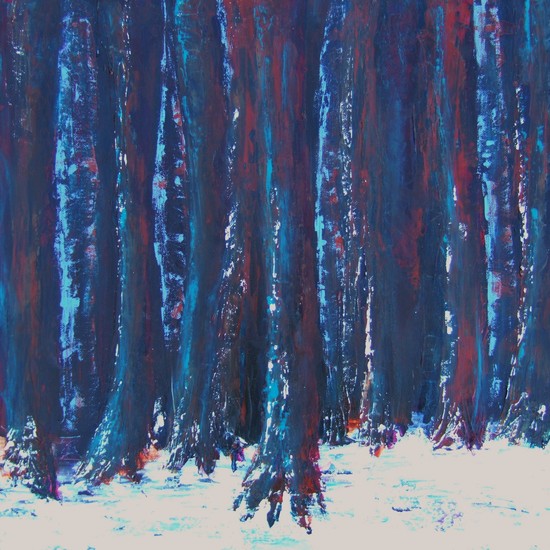 Dark forest in winter