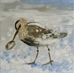 impressies van natuur, verwerkt met gevoel