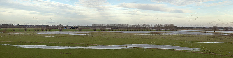 Drogende uiterwaarden