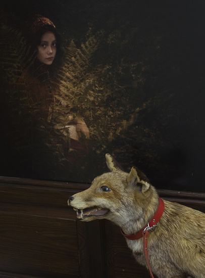 Tussen droom en werkelijkheid