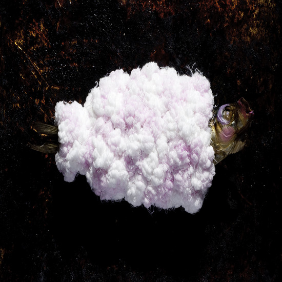 Fishion show 2010, winter collection