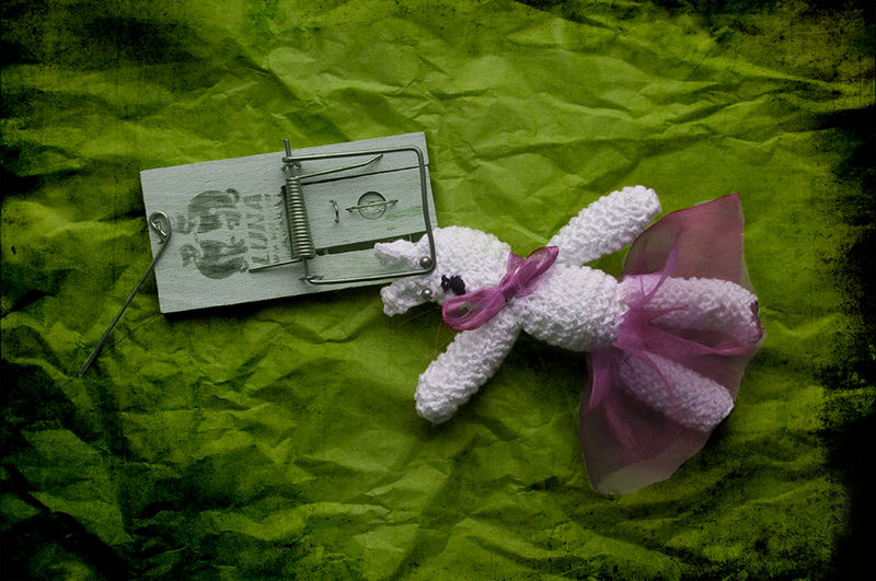 Did not mean to hurt you