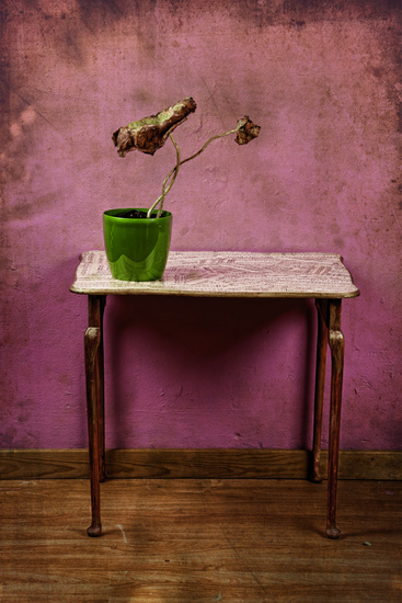 The colorful life of decay