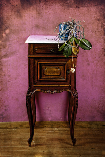 The colorful life of decay in plants