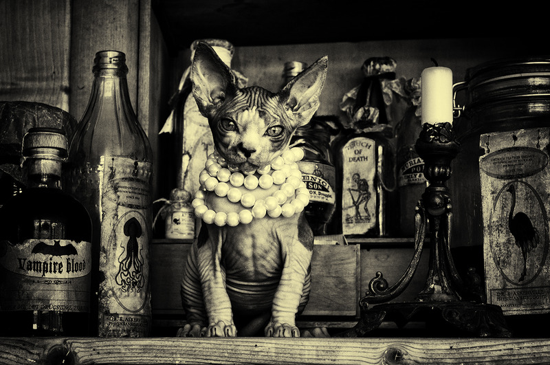 The girl with the pearls