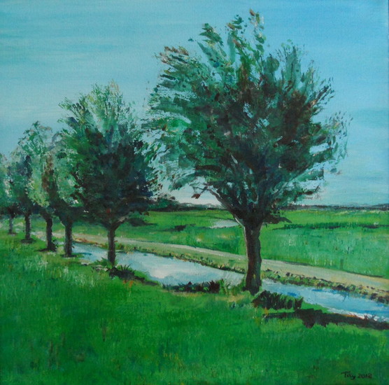 Een uitzicht in Uitgeest