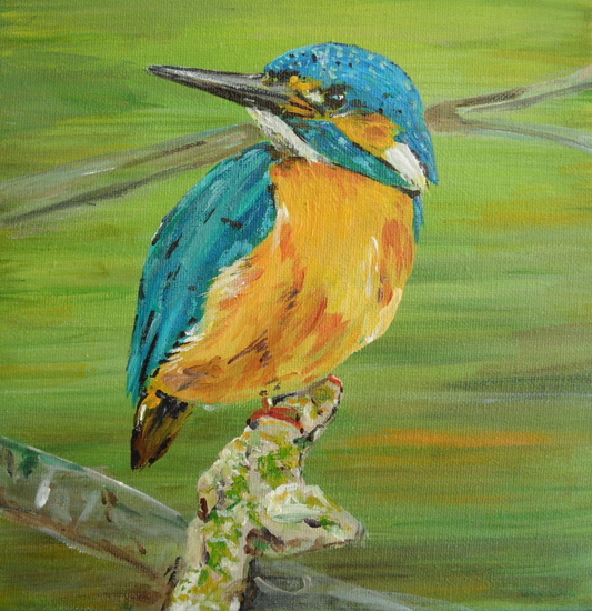 IJsvogel 1