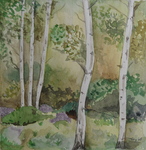 Schilderijen en tekeningen.