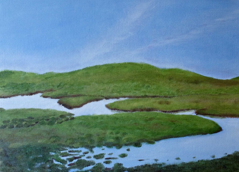 kooikerduinenAmeland