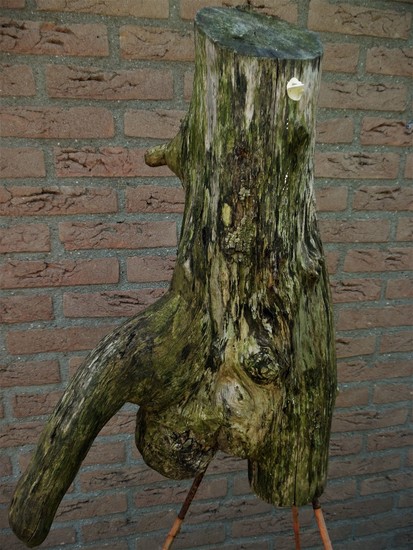 een boom van een man