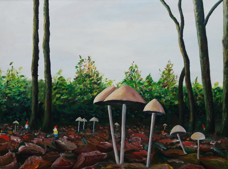 Kabouters in het bos