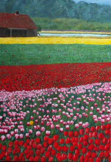 Tulpenveld