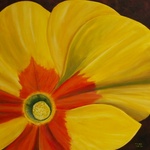 Blij, zomer, zon, kleuren, geuren .... Heerlijk om dit gevoel vast te leggen!