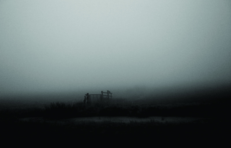 Mist
