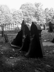 Graven op een oud kerkhof in Lwd