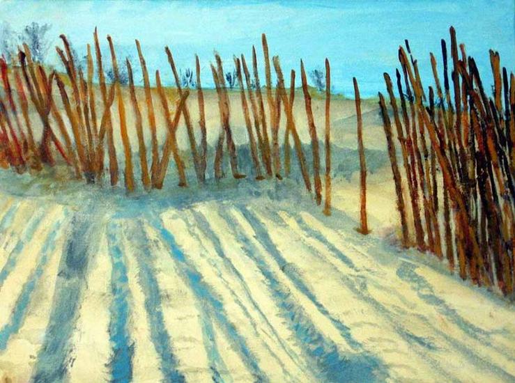 Nazomer in de duinen