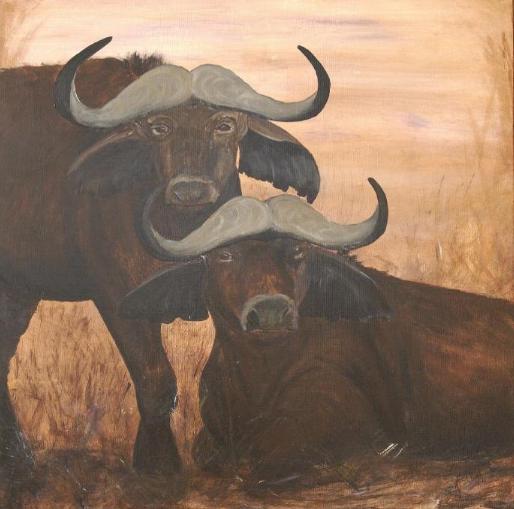 Buffels