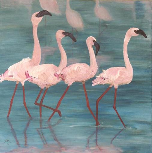 flamingo 5