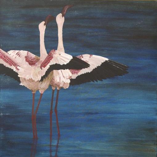 flamingo 6