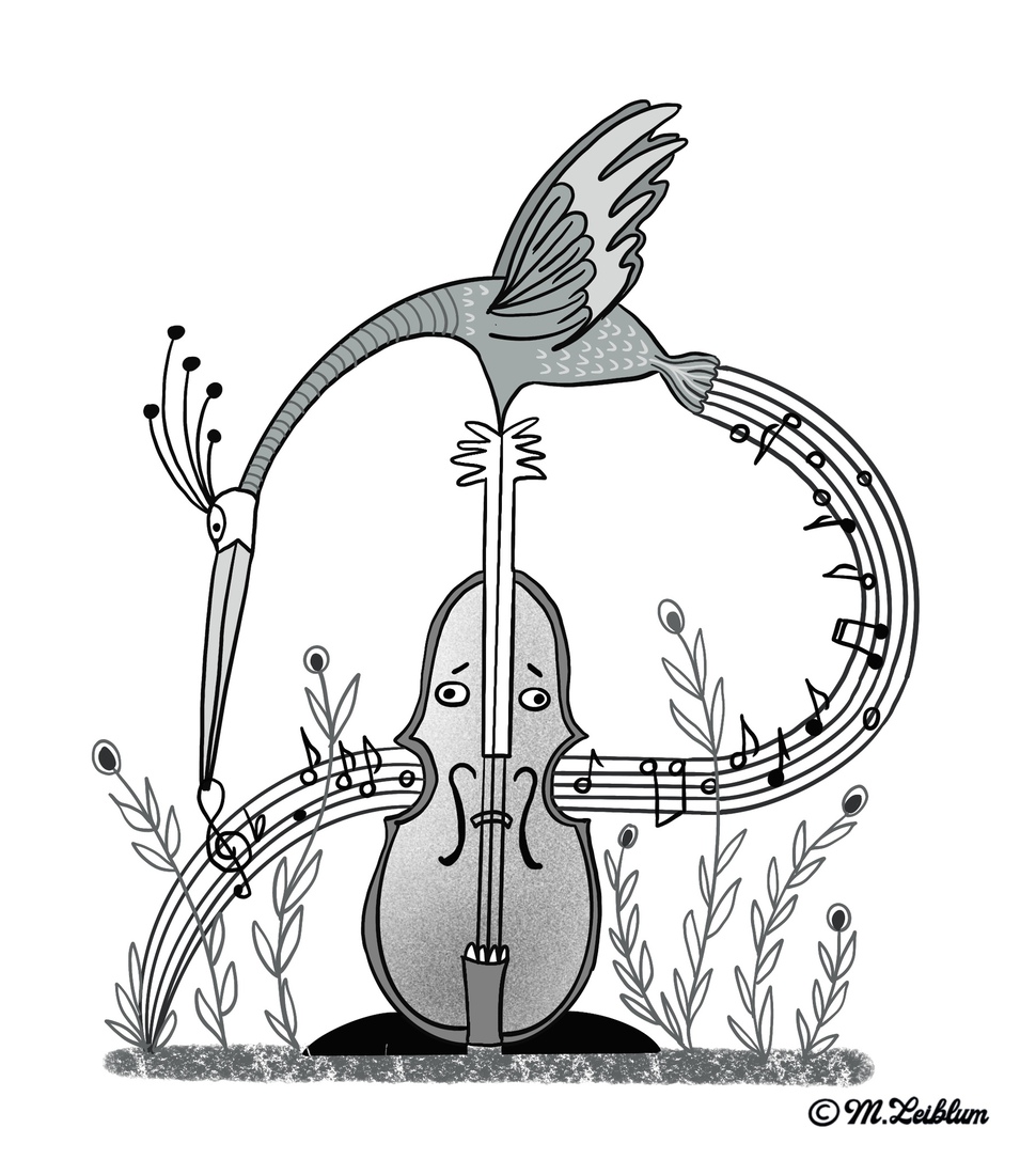Musical bird